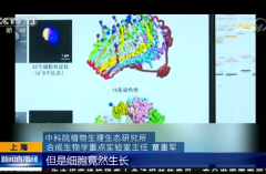 祝賀MoFlo用戶創(chuàng)建世界首例人工單染色體真核細胞