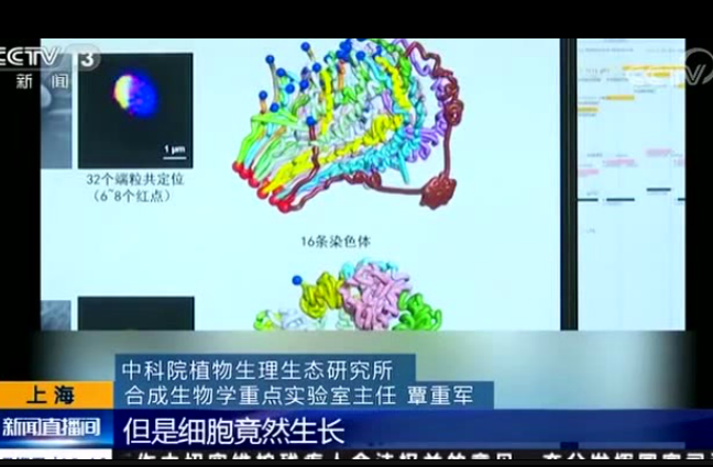 祝賀MoFlo用戶創(chuàng)建世界首例人工單染色體真核細(xì)胞